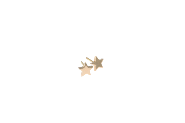 گوشواره ستاره 1